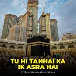 Tu Hi Tanhai Ka Ik Asra Hai