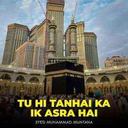 Tu Hi Tanhai Ka Ik Asra Hai