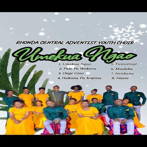 UMEKUA NGAO cover art