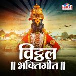 PAULE CHALATI PANDHARICHI WAT artwork