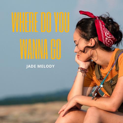 Where Do You Wanna Go_poster_image