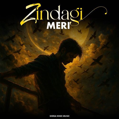 Zindagi Meri