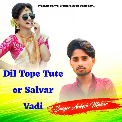 dil-tope-tute-or-salvar-vadi