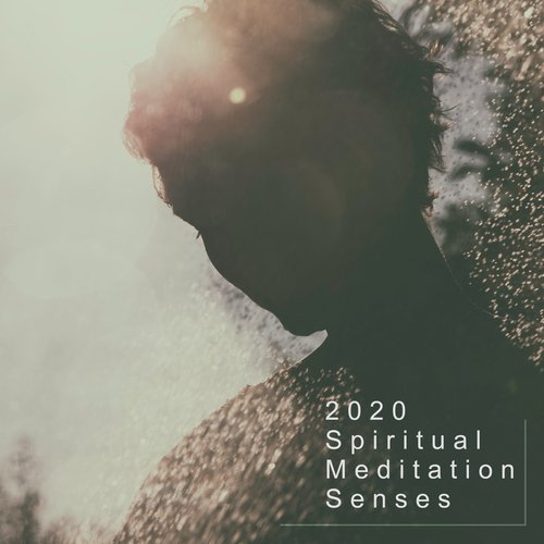 Yoga Poses cover art