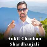 Ankit Chauhan Shardhanjali