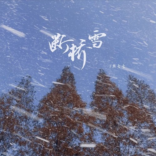 断桥雪_poster_image