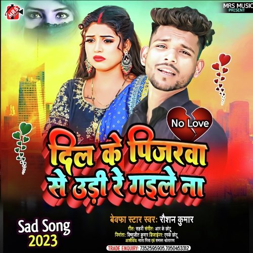 Dil Ke Pinjarva Se Udi Re Gaile Na