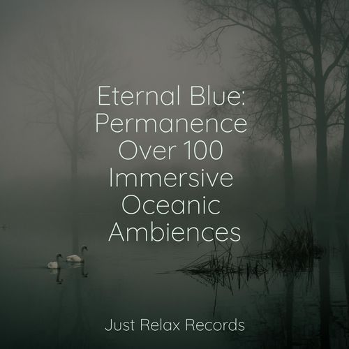 Eternal Blue: Permanence Over 100 Immersive Oceanic Ambiences