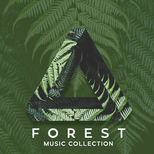 Natural Forest Sounds cover art