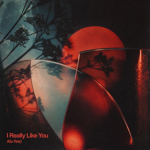 I Really Like You (Garage)