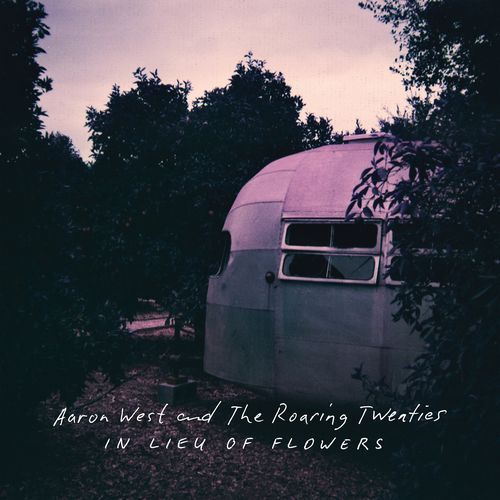 I'm An Albatross cover art