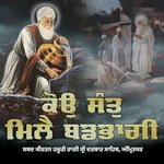 Kou Sant Mile Wadbhagi - Hazoori Ragi Sri Darbar Sahib Amritsar artwork