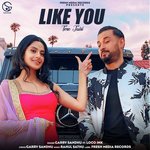 Like You (Tere Jaisi)