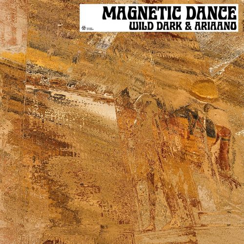 Magnetic Dance