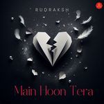 Main Hoon Tera