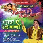 Mastan De Hoke Aaveen