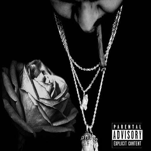 Bag cover art