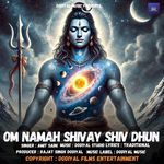 Om Namha Shivay Shiv Dhun