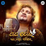 Pada Tora Aau Nathiba Matire