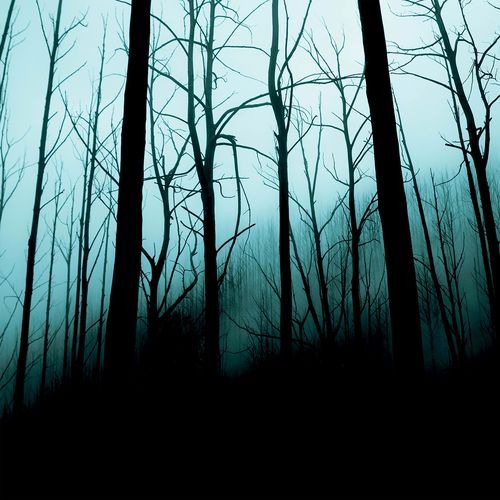 Plomb cover art