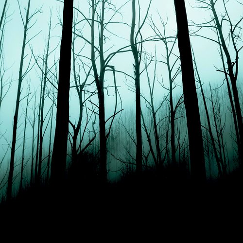 Plomb cover art