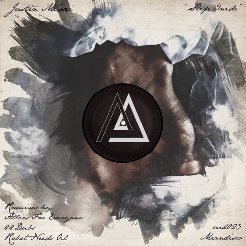 Slip Inside (Robot Needs Oil Remix) cover art