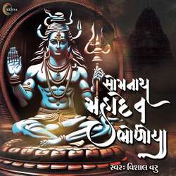 Somnath Mahadev Bholiya-PgQIWDV2AR4