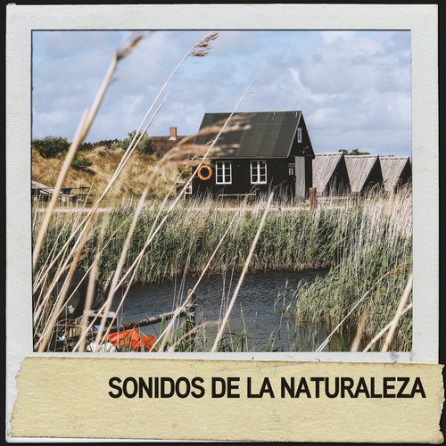 cascada de lluvia cover art