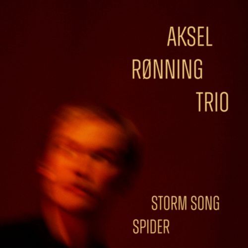 Storm Song (Live) cover art