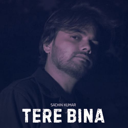 TERE BINA