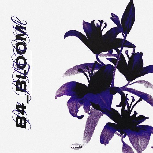 b4_bloom
