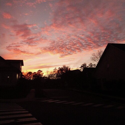 fine ill do it myself