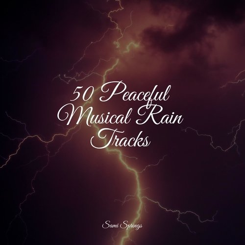 50 Peaceful Musical Rain Tracks