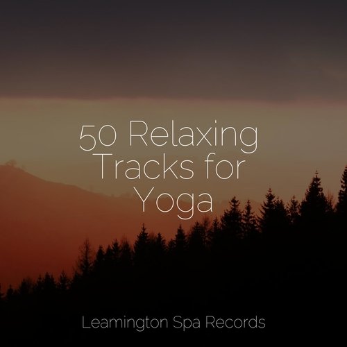50 Relaxing Tracks for Yoga