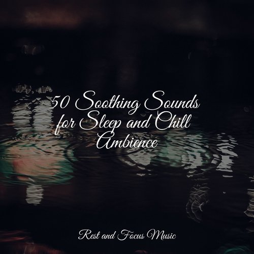 Sleepy Night cover art