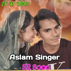 Aslam Singer SR 8000-NTA-AEBocV8