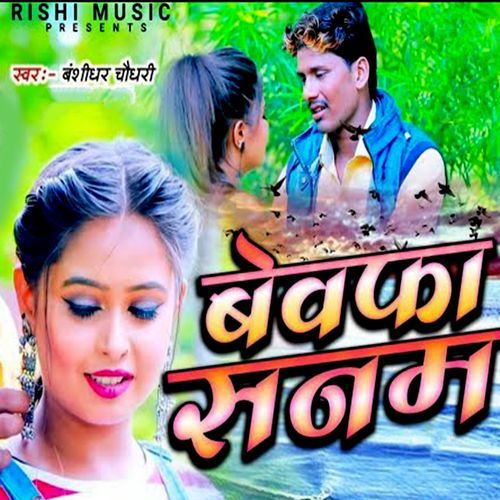 Bevfa Sanam