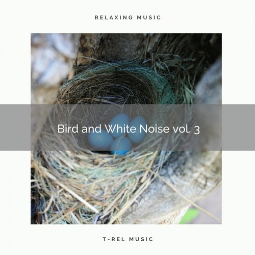 Sounds of the Sea of Noise with Nature Sounds pt. 1 cover art