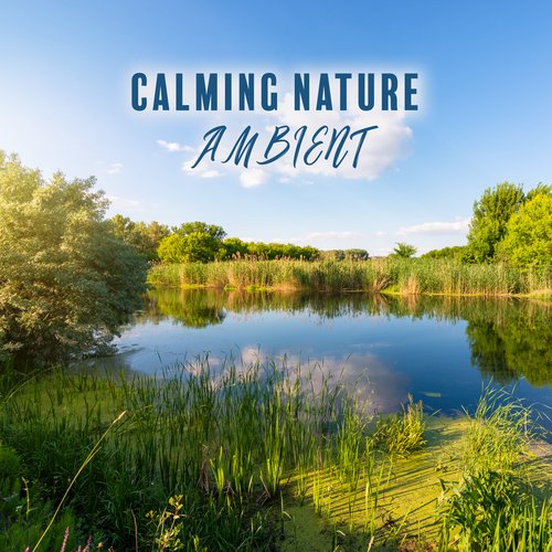 Calming Nature Ambient: Deep Body Regeneration, Nature Sounds Hypnosis_poster_image