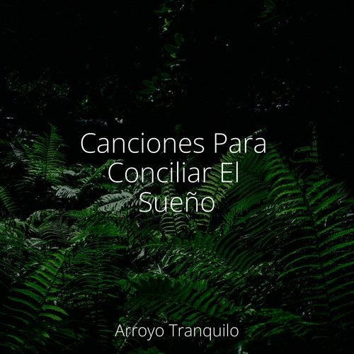 Canciones Para Conciliar El Sueño