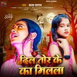 Dil Tod Ke Ka Milala