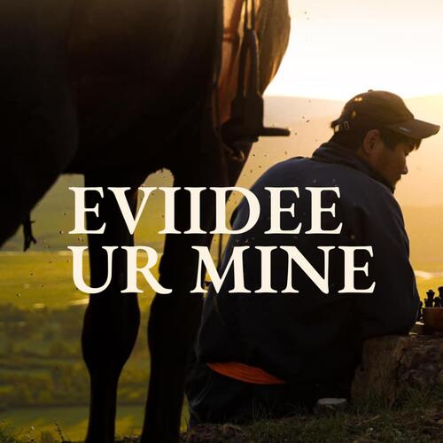 Eviidee Ur Mine cover art
