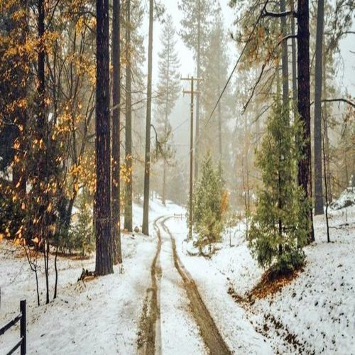 Invisible Paths cover art