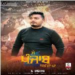 Mein Punjab Bolda Haan