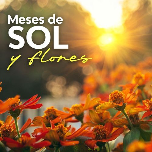 SE ME OLVIDA cover art