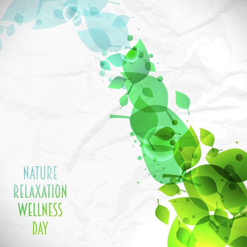 Ambient Nature Sounds cover art