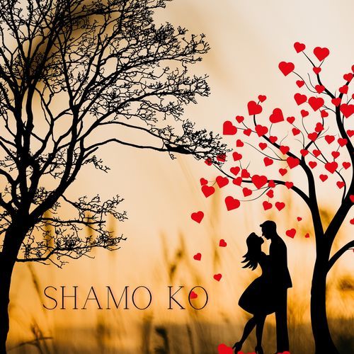 Shamo ko