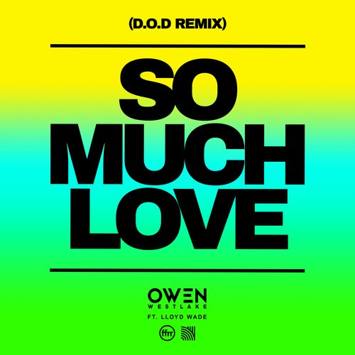 So Much Love (feat. Lloyd Wade) (D.O.D Remix)_poster_image