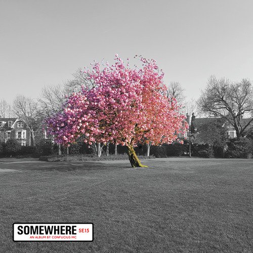 Somewhere_poster_image