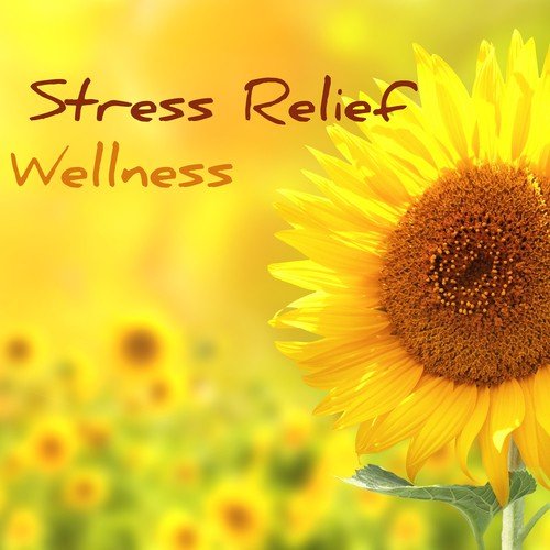 Stress Relief Wellness - Music for Better Mental Health, Dealing With Anxiety and Chronic Stress to Relax